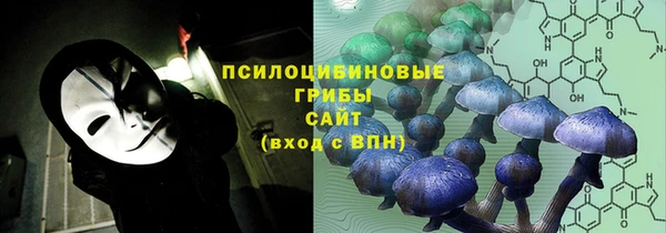 дживик Зеленодольск