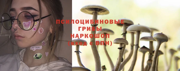 дживик Зеленодольск