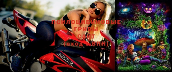 дживик Зеленодольск
