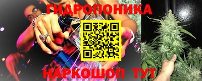 метадон Новодвинск