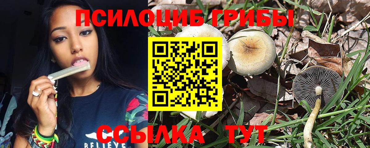 Галлюциногенные грибы мицелий Сокол