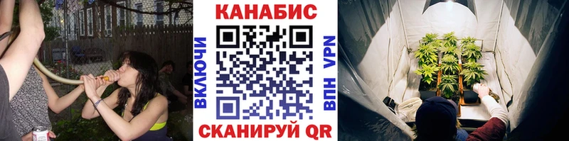 Канабис VHQ  Сокол 
