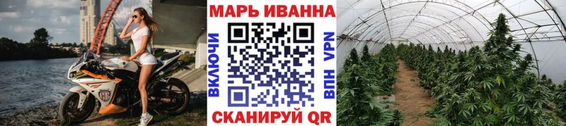Канабис марихуана Сокол